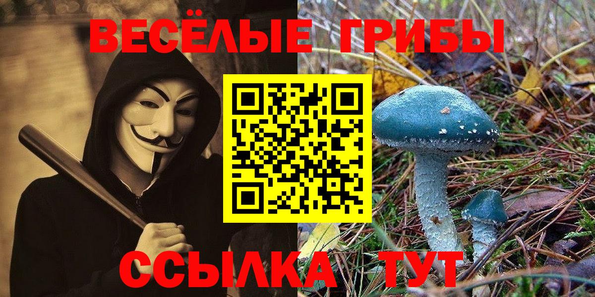 Родники  Псилоцибиновые грибы прущие грибы  Вход с VPN 